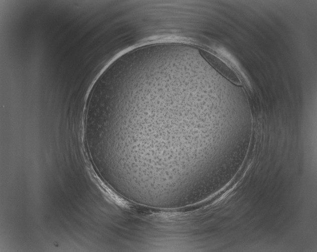 X0000084051244200702232343