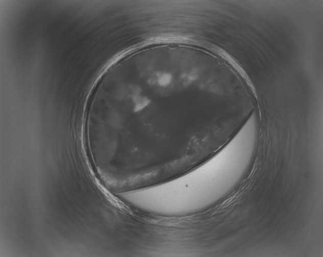 X0000084051245200702232343