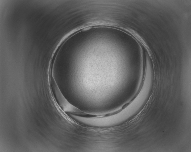 X0000084051246200702232343