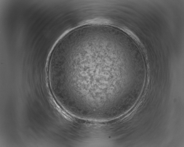 X0000084051248200702232343