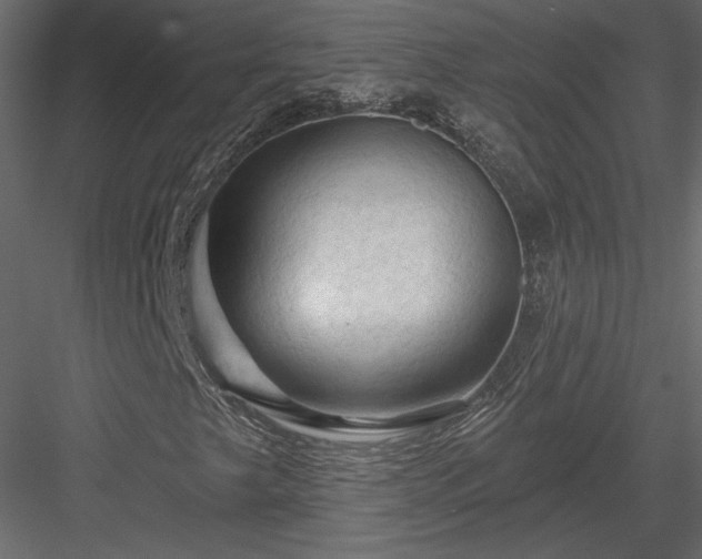 X0000084051249200702232342