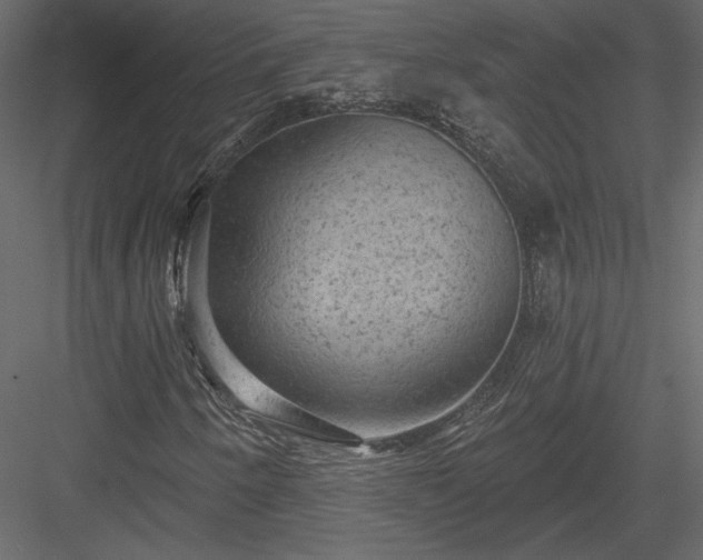 X0000084051250200702232342