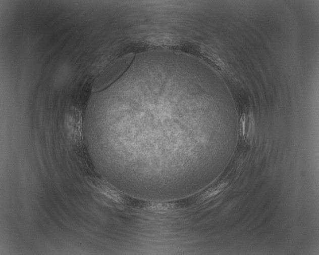 X0000084051251200702232342