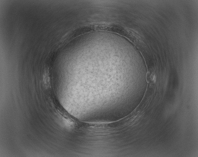 X0000084051252200702232342