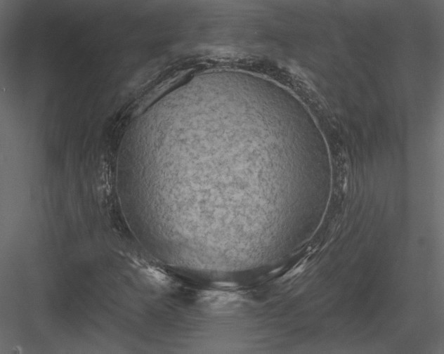 X0000084051253200702232342