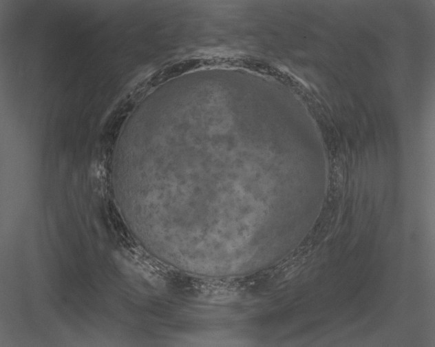 X0000084051254200702232342