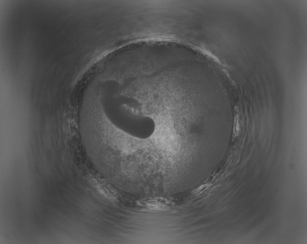 X0000084051255200702232342