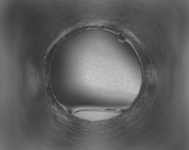 X0000084051256200702232342