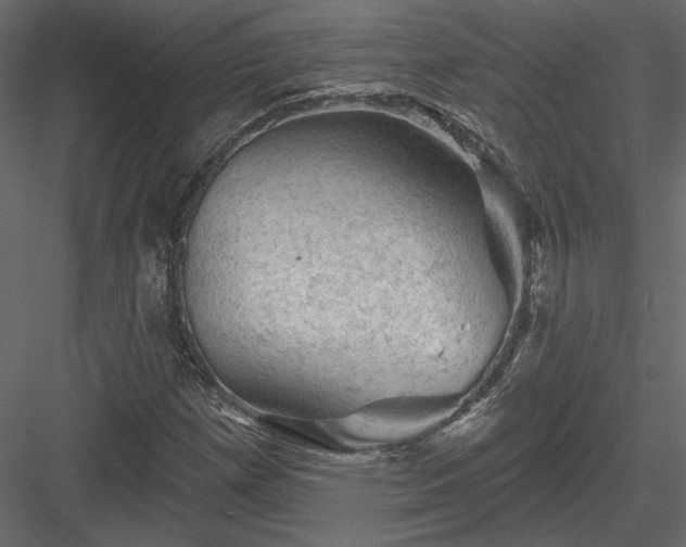 X0000084051257200702232342