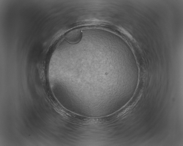 X0000084051259200702232342