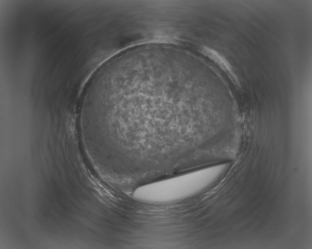 X0000084051260200702232342