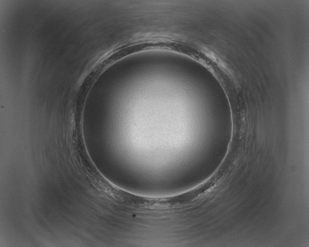 X0000084051261200702232342