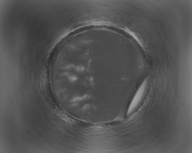 X0000084051263200702232342