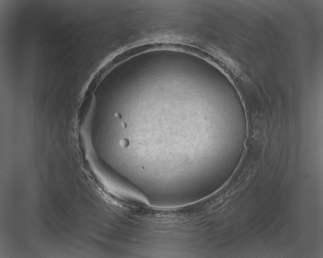 X0000084051264200702232342