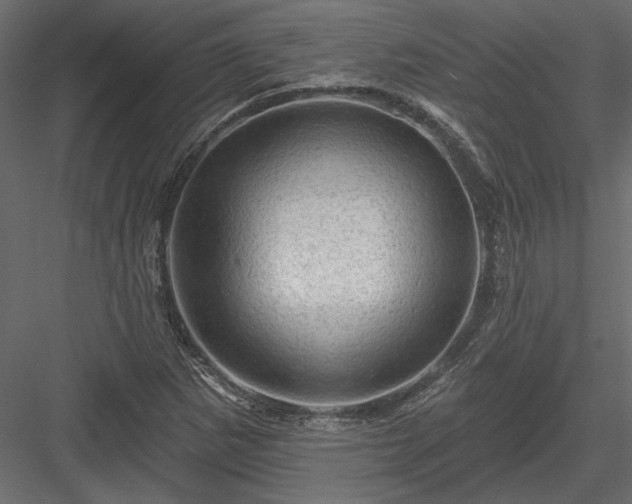 X0000084051265200702232342