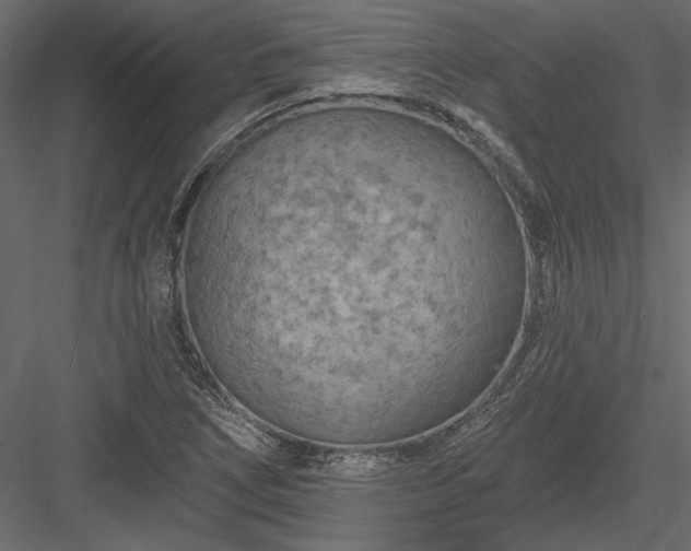 X0000084051266200702232342