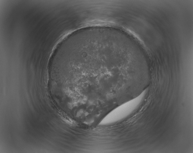 X0000084051267200702232342