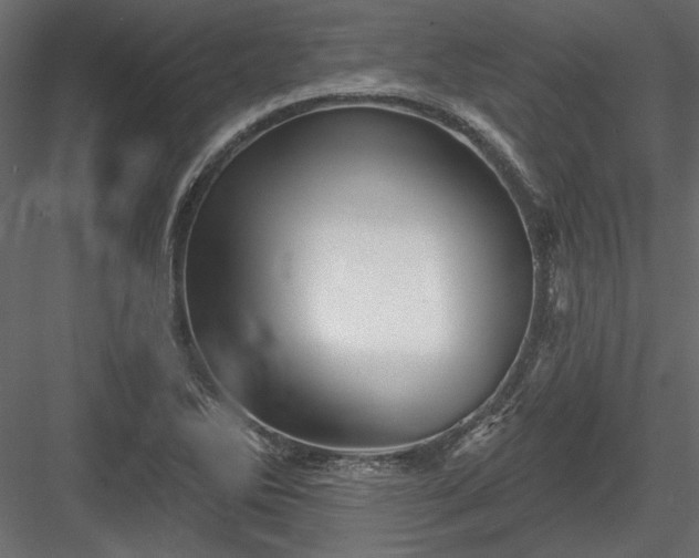 X0000084051270200702232342