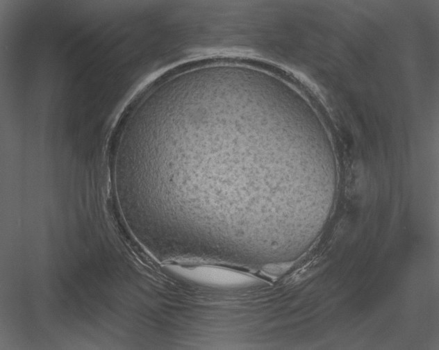 X0000084051271200702232342