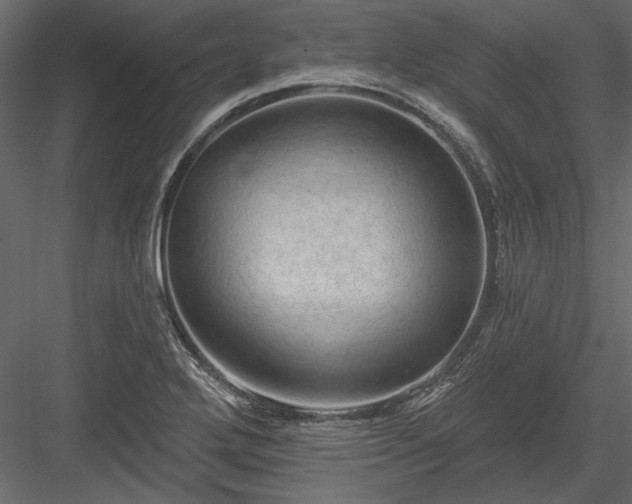 X0000084051272200702232342