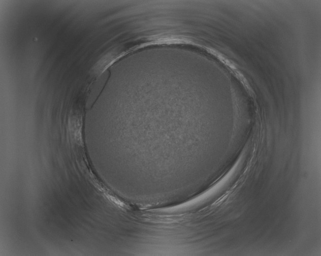 X0000084051273200702232342