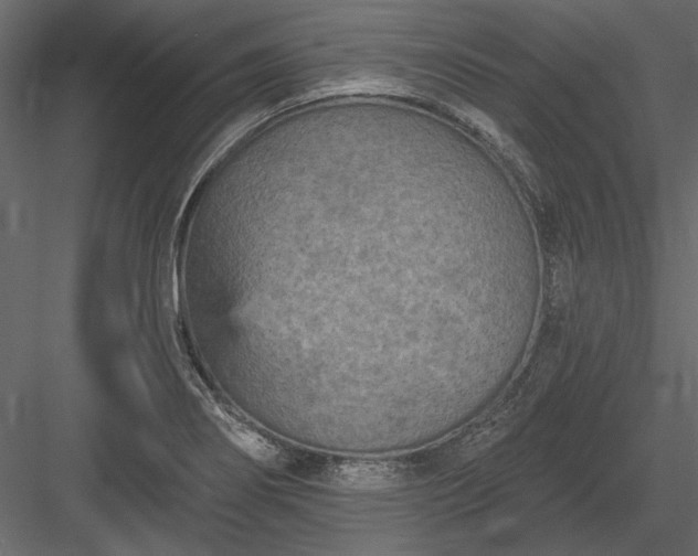 X0000084051274200702232342