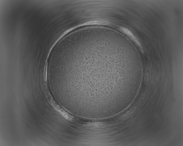 X0000084051276200702232342