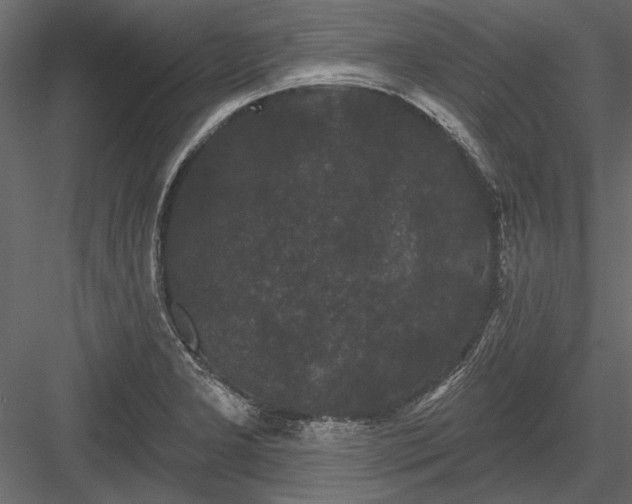 X0000084051277200702232342