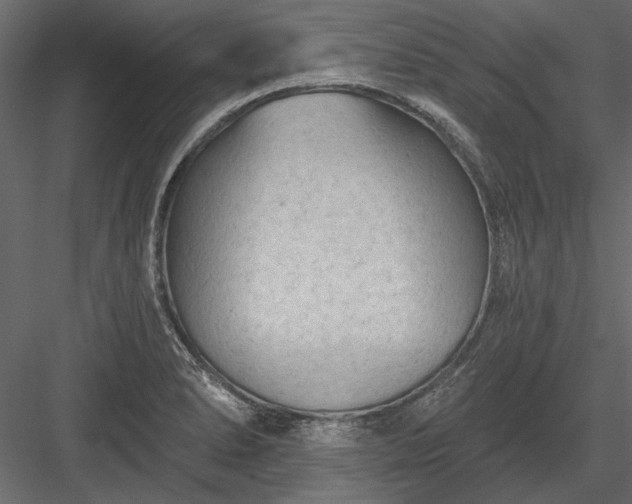 X0000084051278200702232342