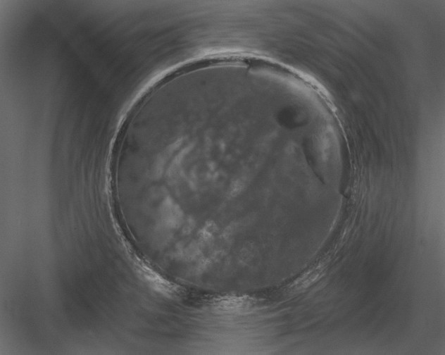 X0000084051279200702232342