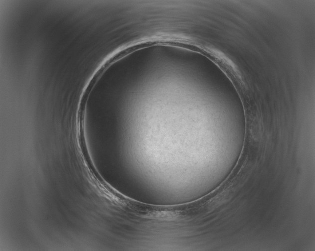 X0000084051280200702232342