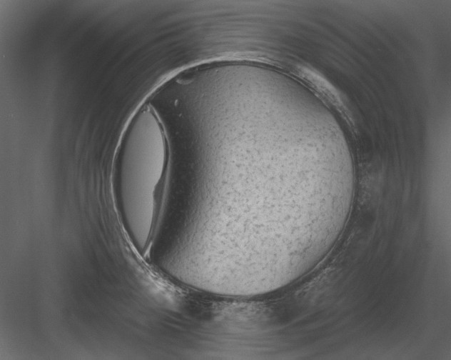 X0000084051284200702232341