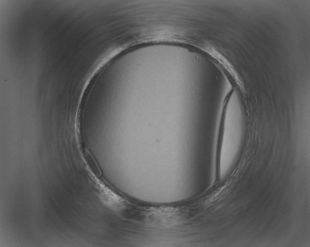 X0000084051285200702232341