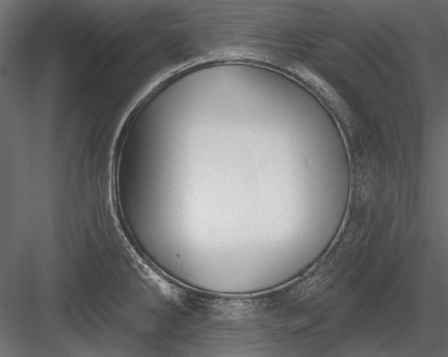 X0000084051286200702232341