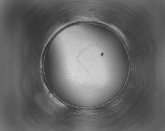 X0000084051287200702232341