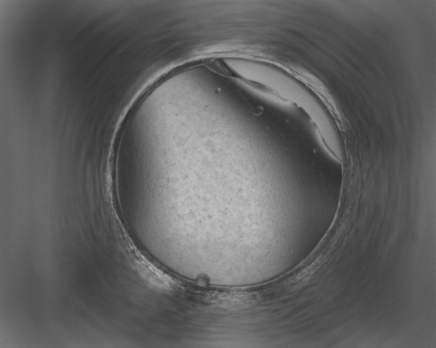 X0000084051288200702232341