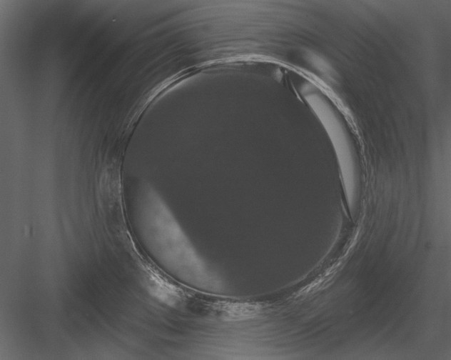 X0000084051289200702232341