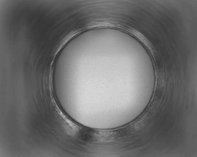 X0000084051290200702232341