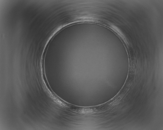 X0000084051291200702232341