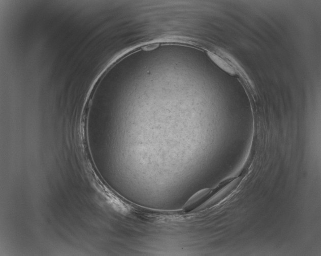 X0000084051292200702232341