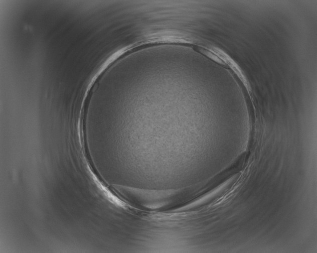 X0000084051293200702232341