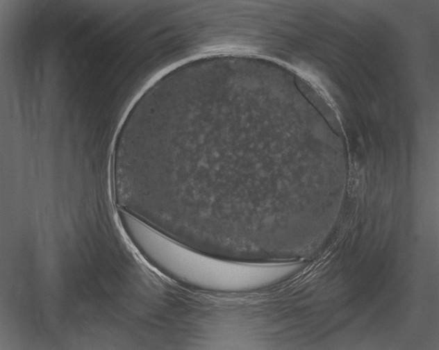 X0000084051295200702232341