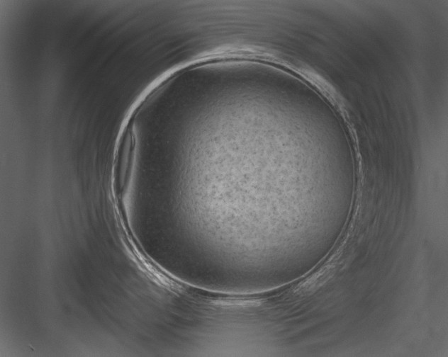 X0000084051296200702232341