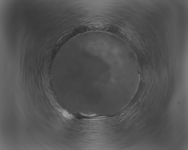 X0000084051297200702232340