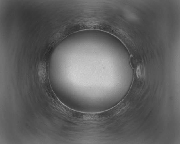 X0000084051299200702232340