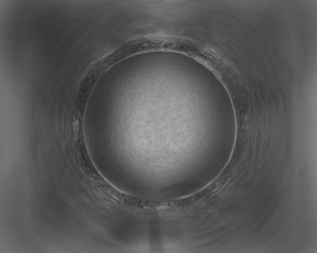 X0000084051302200702232341