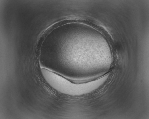 X0000084051304200702232341