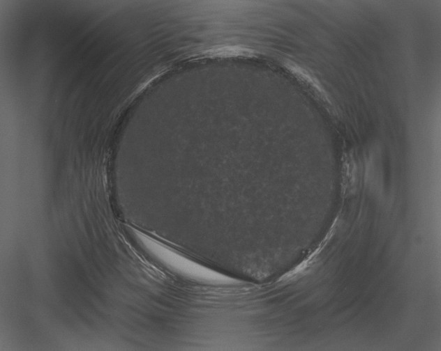 X0000084051305200702232341