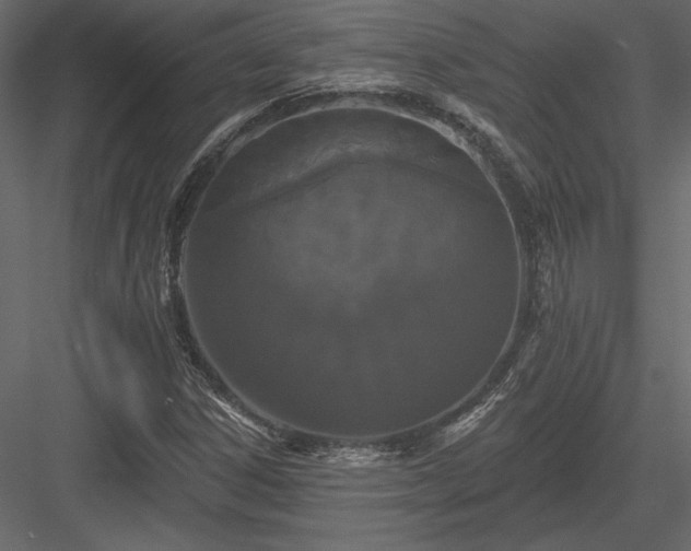 X0000084051306200702232341