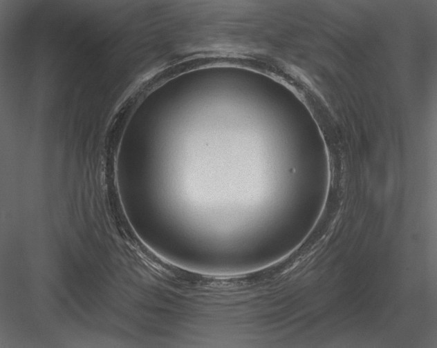 X0000084051307200702232341